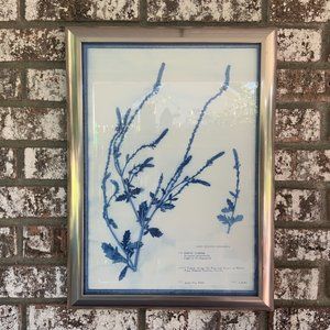 Blue and White Modern Classic Botanical Flower Framed Wall Art Purple Verbena